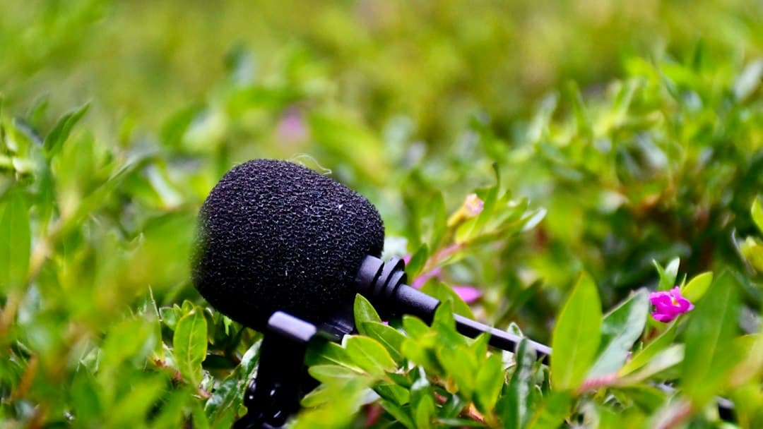 AI Voice technologie in de zorg